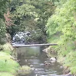 Red Rose * קוקרמאות'