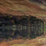 Red Rose בית נופש *