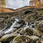 Red Rose * קוקרמאות'