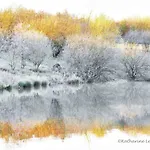 Red Rose בית נופש קוקרמאות'