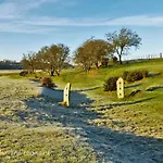 Red Rose * קוקרמאות'