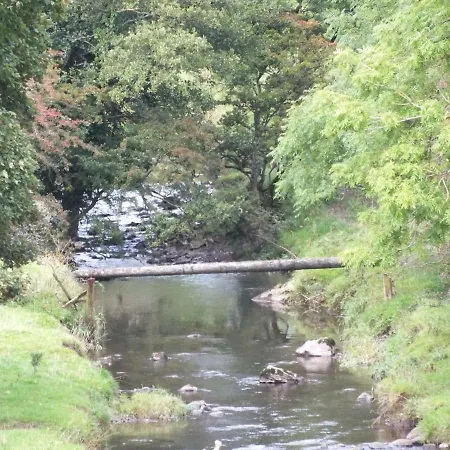 Red Rose * Cockermouth