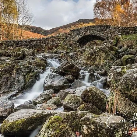 Red Rose * Cockermouth