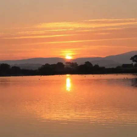 Red Rose * Cockermouth