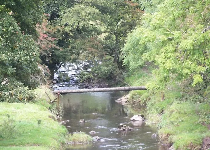 Red Rose * Cockermouth