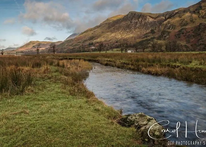 Red Rose Ferienhaus *