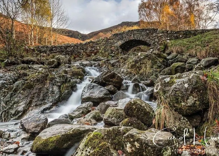 Red Rose * Cockermouth