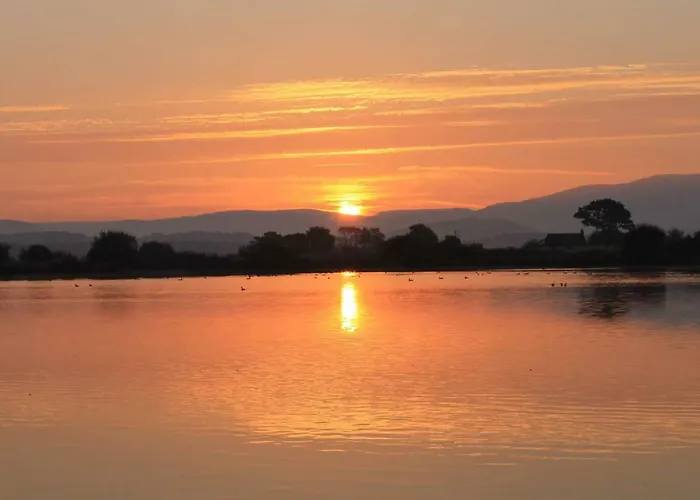 Red Rose * Cockermouth