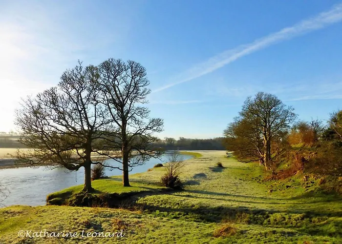 Red Rose Ferienhaus *
