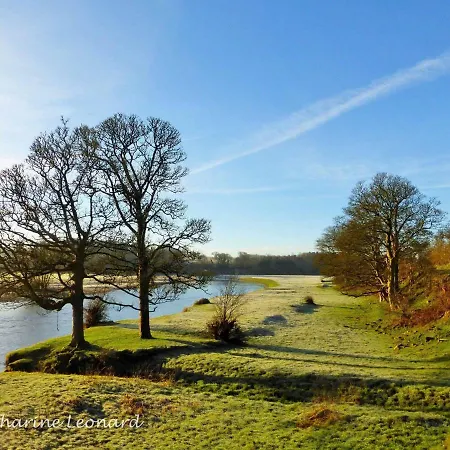 Red Rose Dom wakacyjny *